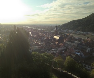 View of Heidelberg from the closing ceremony dinner at Heidelberg Castle. Photo courtesy of Tegan Emerson. 