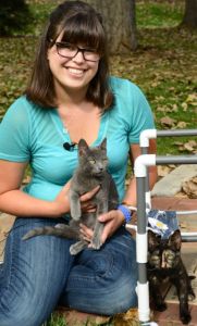 One wobbly kitten sits on a CSU veterinary student's lap while another wobbly kitten sits beside the veterinary student