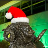 Cam statue with holiday hat