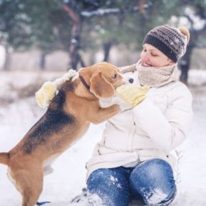 A dog and female pet owner playing outside in the snow