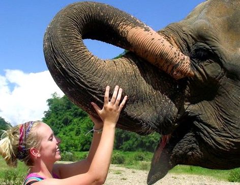 Girl and elephant