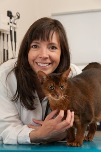 Dr. Camille Torres-Henderson with a cat in an examination room.