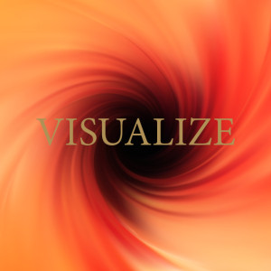 Visualize 2014 logo.jpg