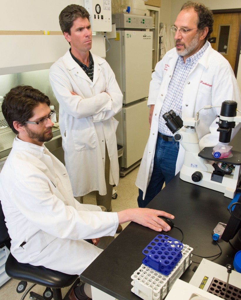 Colorado State University Microbiology, Immunology and Pathology assistant Professor Brendan Podell, Health and Exercise Science associate Professor Adam Chicco and Microbiology, Immunology and Pathology professor Randall Basaraba collaborate on tuberculosis research, April 1, 2015.
