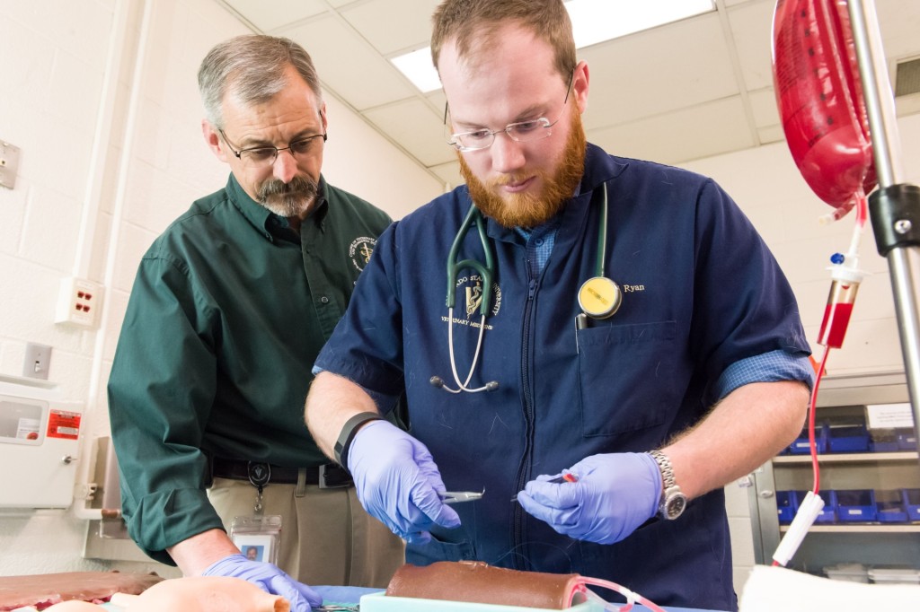 Colorado State University veterinary student Paul Ryan and Clinical Sciences professor, equine surgeon and SurgiReal co-founder Dean Hendrickson look over a SurgiReal product, March 13, 2015. Hendrickson and CSU research scholar and DVM Fausto Bellezzo created a line of artificial tissues, some of which bleed, to better train veterinary students in surgery and suture techniques.