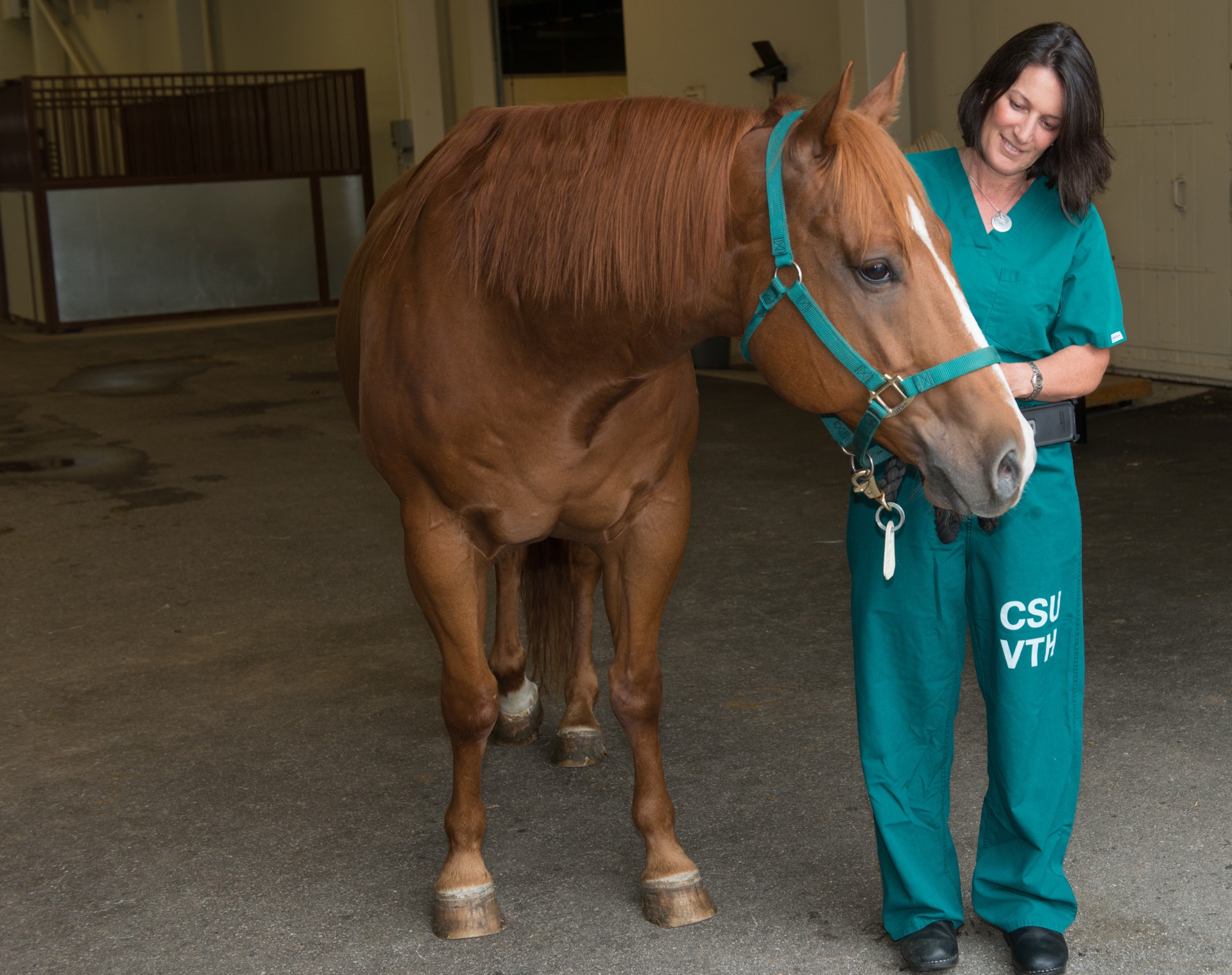 Foundation's $10 million gift launches world-class horse hospital at CSU