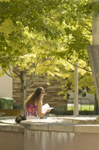 A student studies by the Engineering-Physics Water Plaza, September 2, 2011