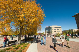 Fall at Colorado State University