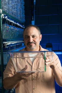 Dr. Cameron Ghalambor, Professor of Biology at Colorado State University, researches genetic plasticity in guppies. August 27, 2015