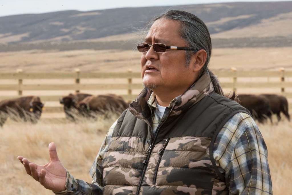Colorado State University Native American Cultural Center Director Ty Smith watches as as a herd of bison are released at Soapstone Prairie Natural Area, October 20, 2015. CSU researchers have established a herd of genetically pure, Brucella abortus-free bison to be released in the City of Fort Collins Soapstone Prairie Natural Area and the adjacent Larimer County Red Mountain Open Space.