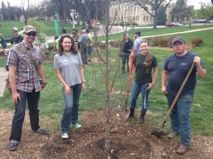 CSU students plant a tree on Arbor Day