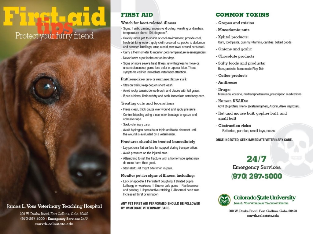 pet.first.aid.toxins
