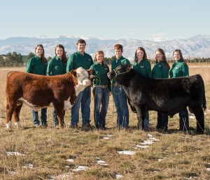 2015-2016 Seedstock Merchandising Team, College of Agricultural Sciences, Colorado State University, December 3, 2015