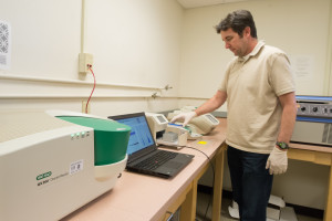 digital PCR system