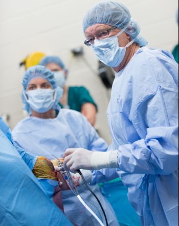 Dr. Wayne McIlwraith and Dr. Laurie Goodrich perform arthroscopic surgery on a quarter horse. July 24, 2014 Dr. Wayne McIlwraith and Dr. Laurie Goodrich perform arthroscopic surgery on a quarter horse. July 24, 2014