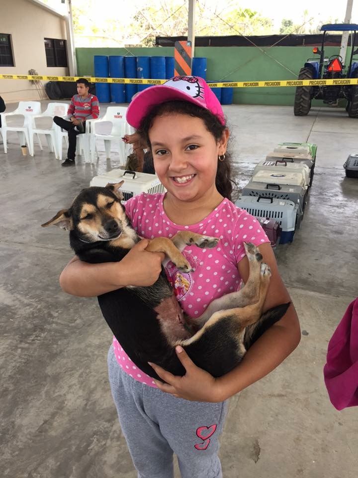 A girl takes home her dog after spay surgery at a recent Todos Santos clinic.