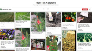 PlantTalk Pinterest