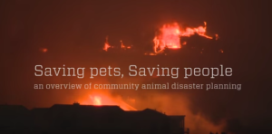 Saving pets, saving people video screen grab with fire in background