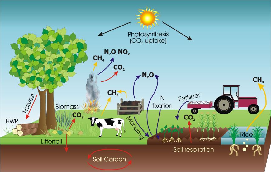new-land-use-strategies-can-reduce-greenhouse-gas-emissions-source