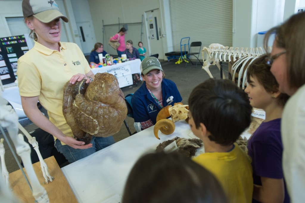 The James L. Voss Veterinary Teaching Hospital hosts an open house for members of the public. April 25, 2015