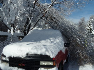 tree branches on a truck after a snowstorm