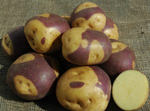 potato_masquarade