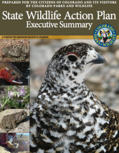 Colorado Wildlife Action Plan cover