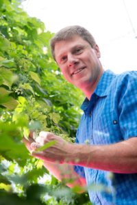 Bill Bauerle, Professor of Horticulture and Landscape Architecture, researches hops growing under artificial light. June 14, 2016