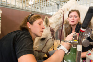 CSU vet students treat High Park Fire animals
