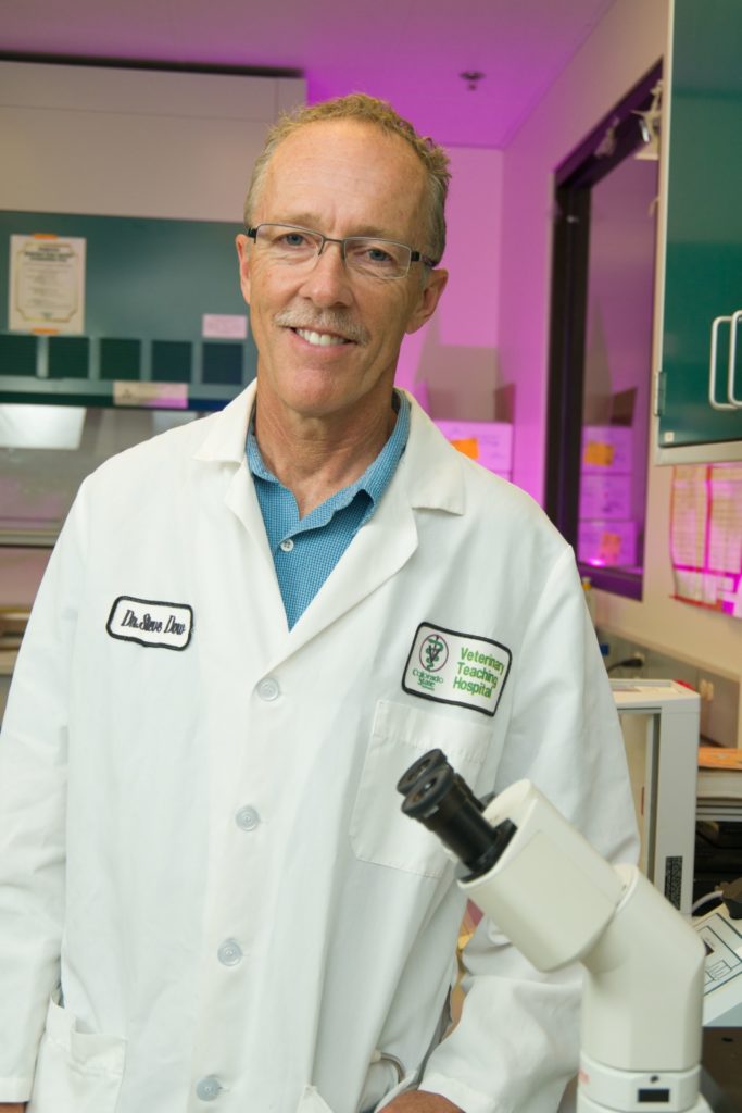 Steve Dow, Professor of Clinical Sciences, Colorado State University, July 6, 2012