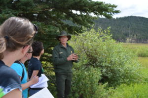 PLHC students hear from a ranger in Rocky Mountain National Park.