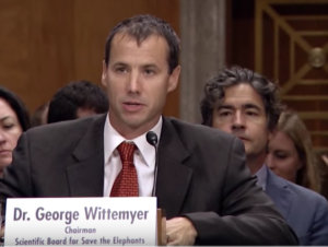 G Wittemyer July 2015 U.S. Senate hearing