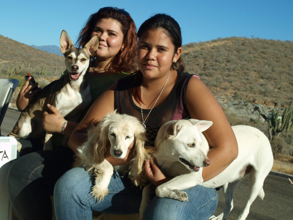 Residents of Todos Santos, Mexico, bring their dogs to the CSU Center for health assessments. “It starts with the kids. So many families came to this project because their kids were involved,” said CSU veterinarian Dr. Cody Minor. (Photo by Cody Minor)