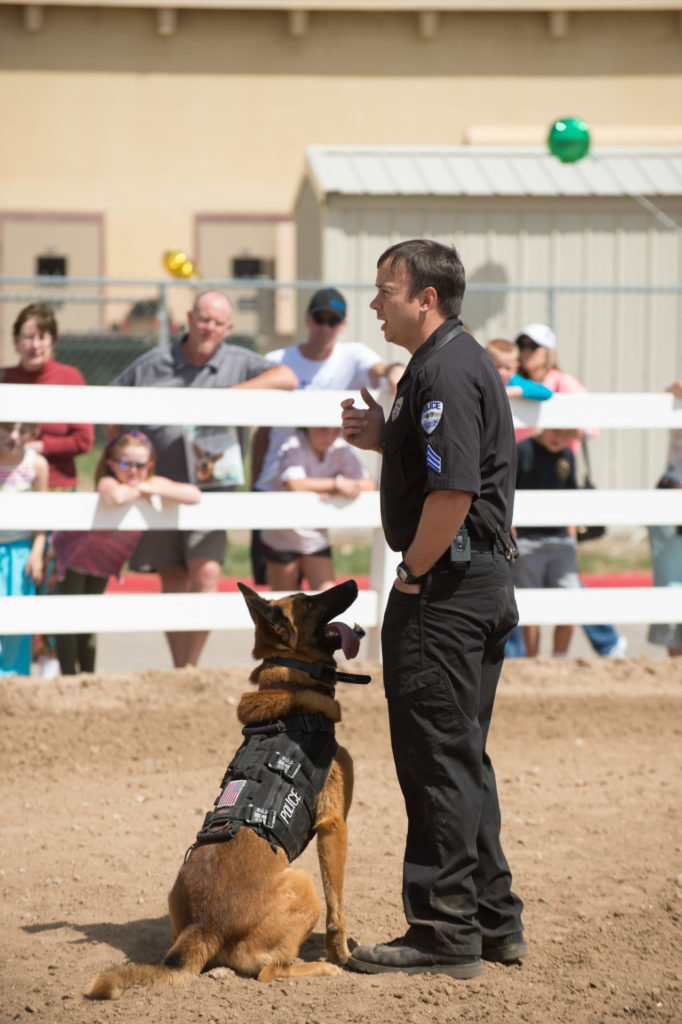 The Fort Collins Police Department K-9 Unit will offer demonstrations at 11 a.m. and 1 p.m. John Eisele/CSU Photography