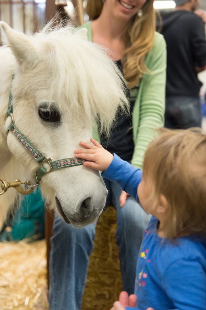 The petting zoo is a favorite stop at the Veterinary Teaching Hospital Open House. John Eisele/CSU Photography