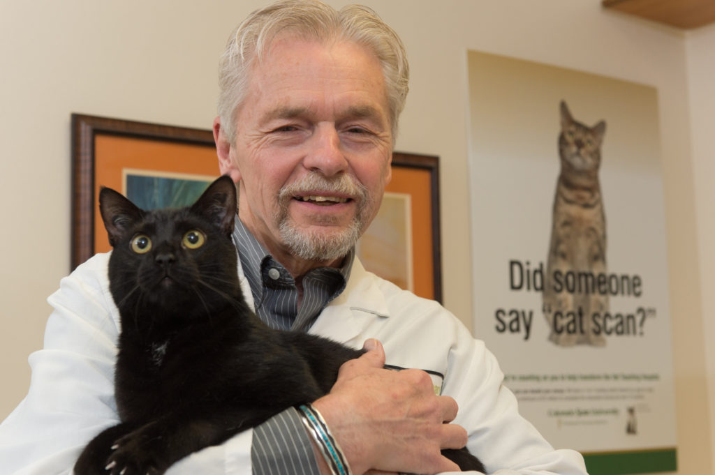 Dr. Ed Hoover invented the feline leukemia vaccine used around the world. (John Eisele/CSU Photography)