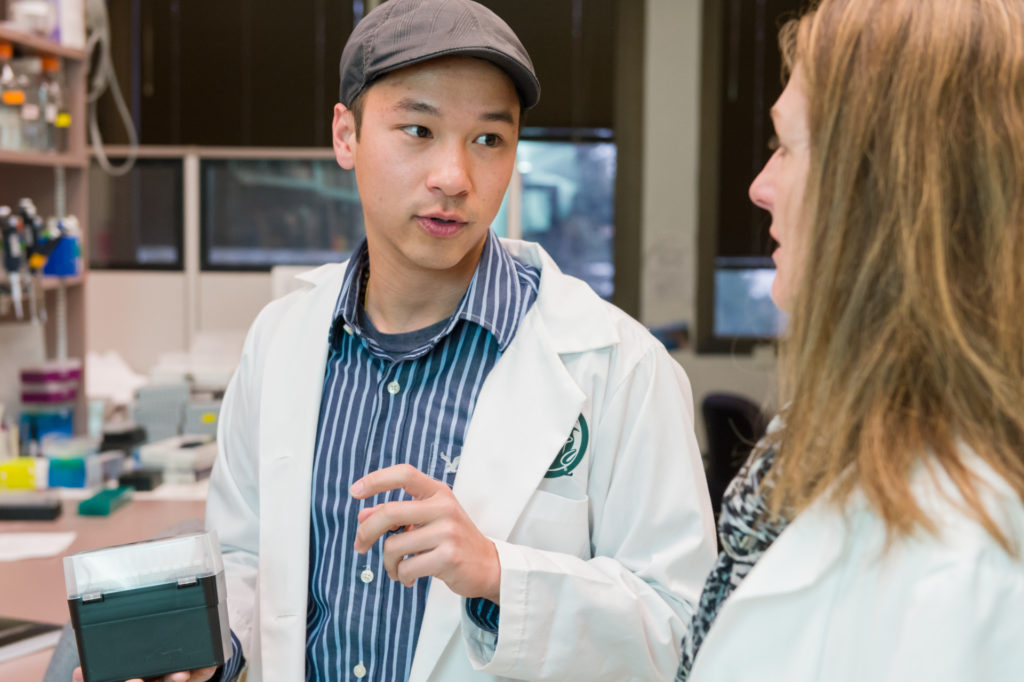 Colorado State University DVM/PhD student Elliott Chiu works on research with Microbiology, Immunology and Pathology professor Sue VandeWoude, April 2, 2015.