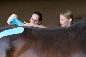 color photo of Kristin McCarty applying kinesio tape to her horse. CSU's Dr. Katie Seabaugh helps her.