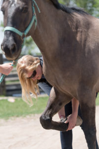 color photo of Dr. Mindy Nelson with a horse