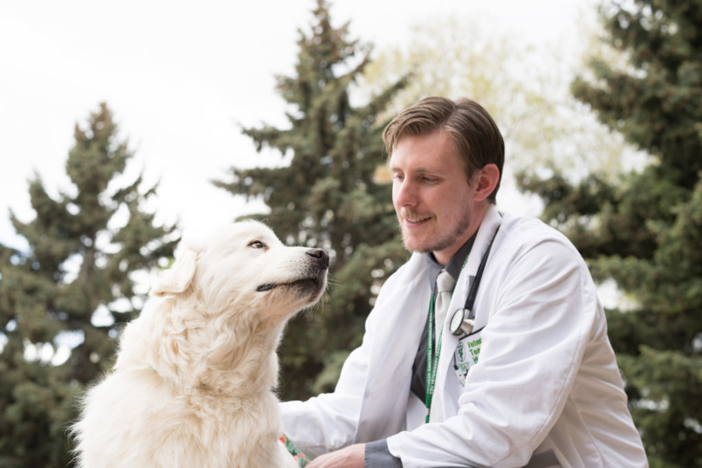 Colorado State University post doctoral Jacob Cawley examines Barb Mason's dog Lilly at the Veterinary Teaching Hospital, May 2, 2017.