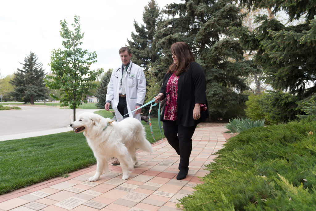 Colorado State University post doctoral Jacob Cawley examines Barb Mason's dog Lilly at the Veterinary Teaching Hospital, May 2, 2017.