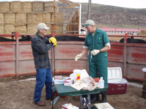 Frank Garry, right, with former College of Veterinary Medicine and Biomedical Sciences Dean Jim Voss at a ranch in Northern Colorado.