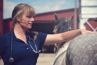Dr. Laura Bledsoe touching the back of a horse