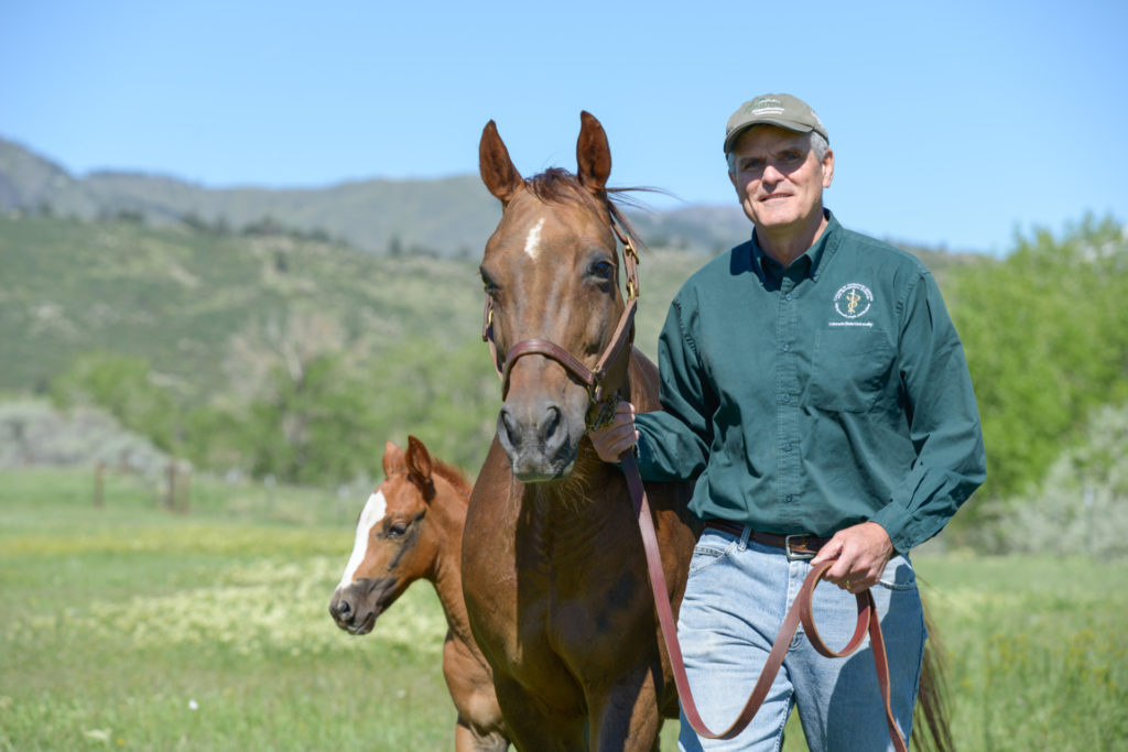 Dr. Pat McCue poses with a horse and a colt