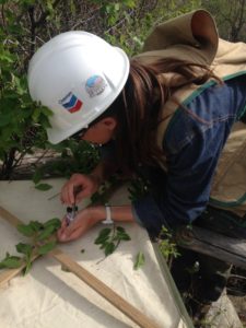 color photo of Hannah Riedl studying plants in northwestern Colorado