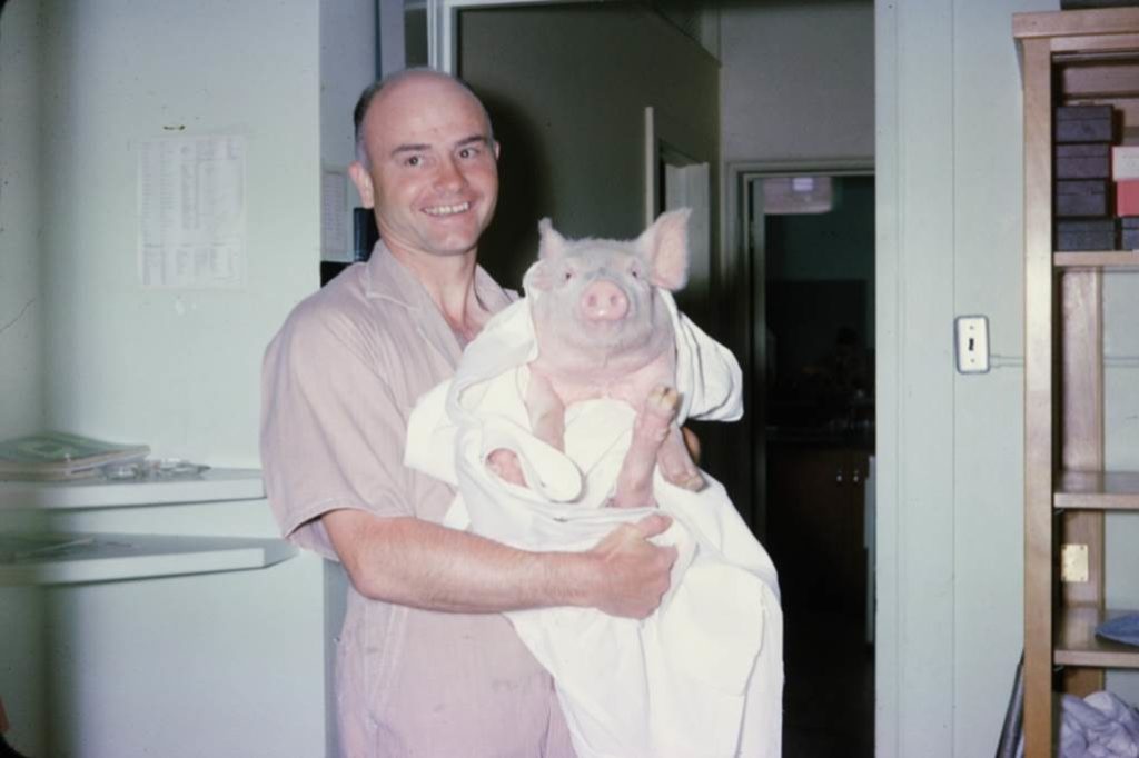 Richard St. Clair holding a pig in a blanket.