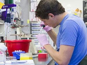 Undergraduate researcher Brice Thompson sets up a PCR reaction test that detects mycobacterial DNA in host tissues.