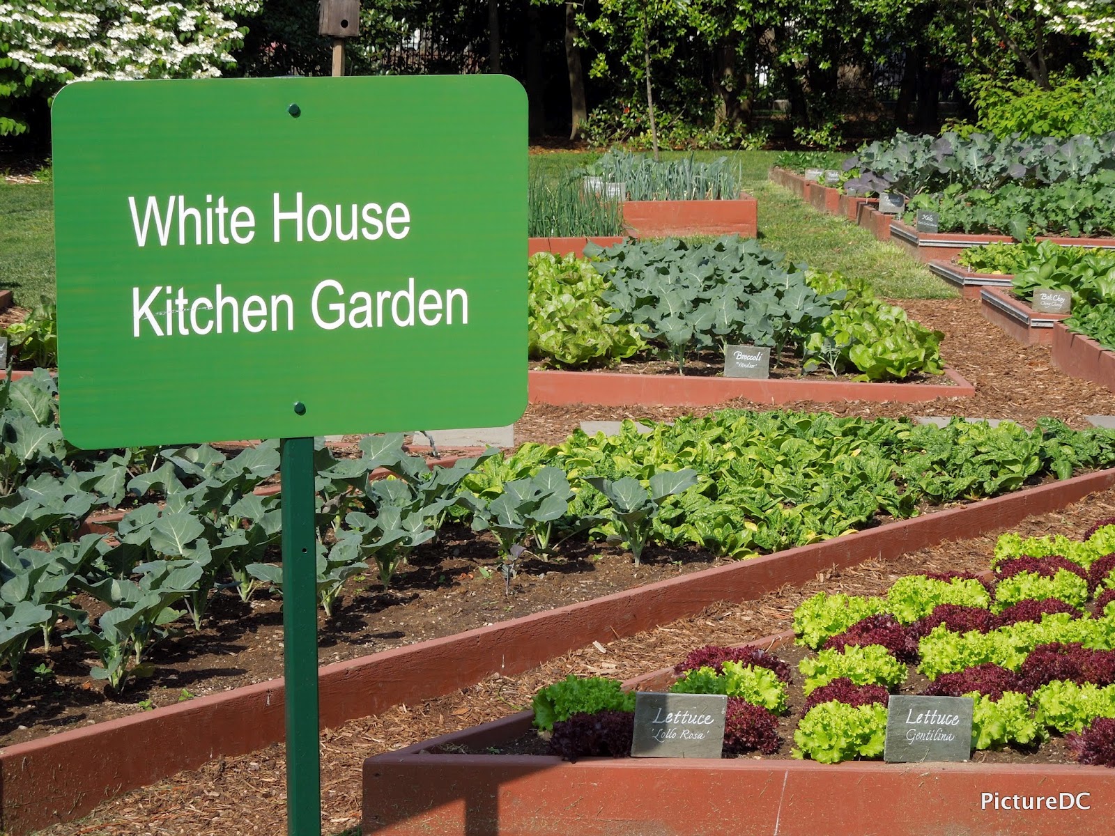 White House Kitchen Garden