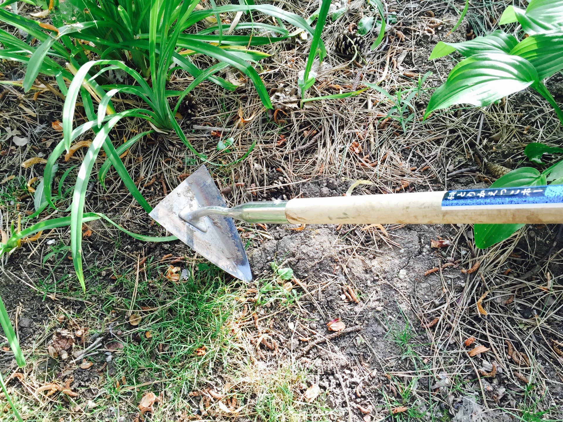 Master Gardener Tips Two Versatile Japanese Garden Tools
