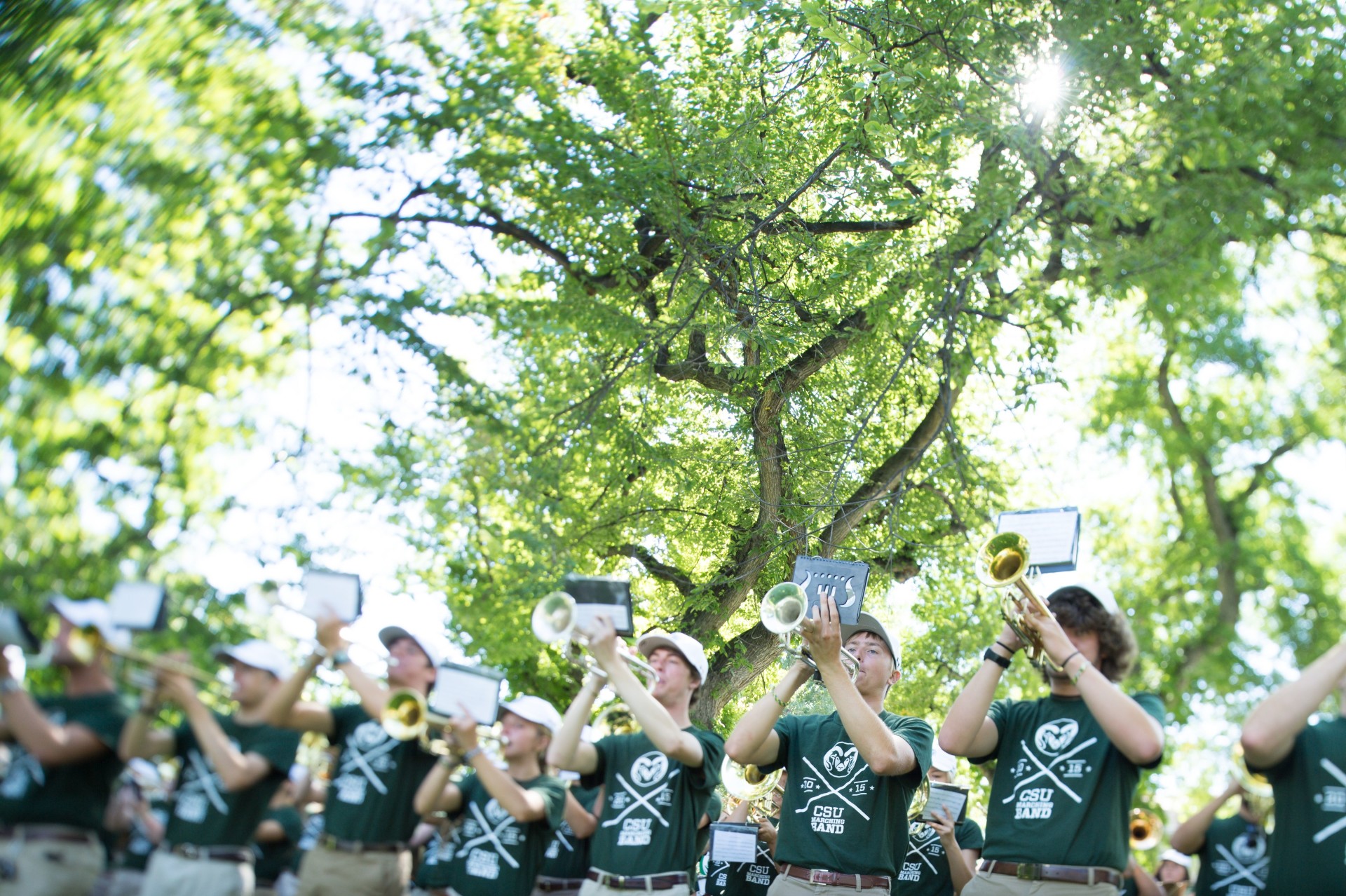 The Colorado State University Marching Band performs at the 2015 Fall Address and University Picnic.